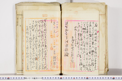 明い019000360017.jpg