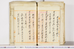明い019000370003.jpg