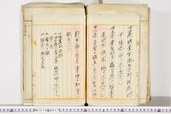 明い019000370004.jpg