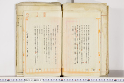 明い019000370006.jpg