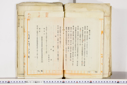 明い019000370007.jpg
