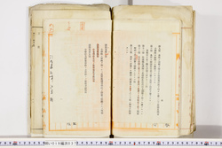 明い019000370008.jpg