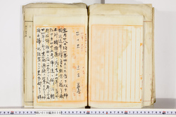 明い019000380003.jpg