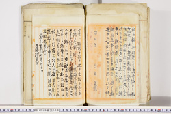 明い019000380004.jpg