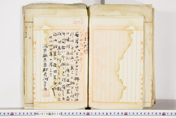 明い019000380007.jpg