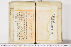 明い019000380008.jpg