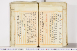 明い019000380010.jpg