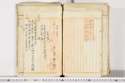 明い019000380011.jpg