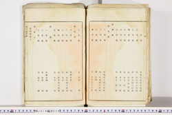 明い019000390003.jpg