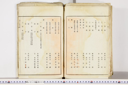 明い019000390004.jpg