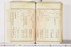 明い019000390005.jpg