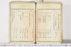 明い019000390006.jpg