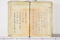 明い019000410006.jpg