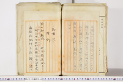 明い019000410009.jpg