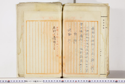 明い019000410010.jpg