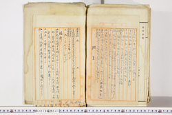 明い019000410015.jpg