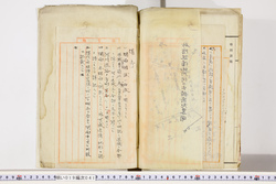 明い019000410018.jpg