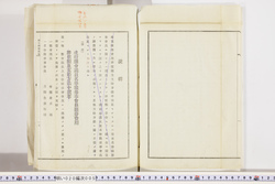 明い020000050004.jpg