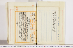 明い020000060013.jpg