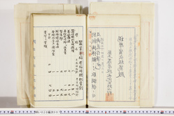 明い020000070011.jpg