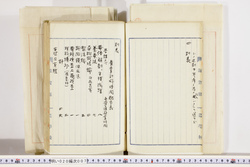 明い020000070016.jpg