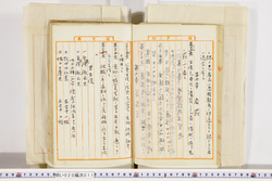 明い020000110017.jpg