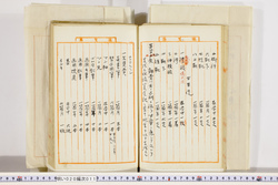 明い020000110018.jpg