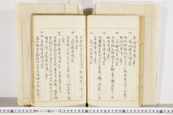 明い020000120004.jpg