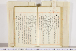 明い020000120006.jpg