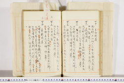 明い020000120012.jpg
