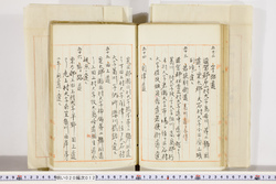 明い020000120014.jpg