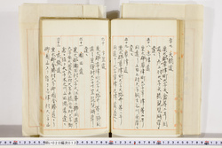 明い020000120015.jpg