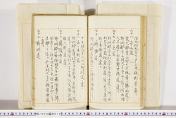 明い020000120017.jpg