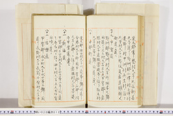 明い020000120019.jpg