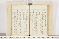 明い020000120021.jpg
