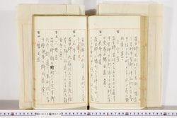 明い020000120023.jpg