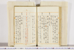 明い020000120029.jpg