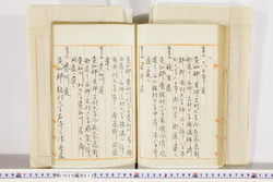 明い020000120030.jpg