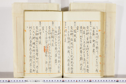 明い020000120031.jpg