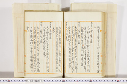 明い020000120033.jpg