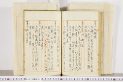 明い020000120034.jpg