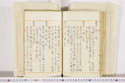 明い020000120042.jpg