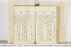 明い020000120043.jpg