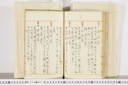 明い020000120044.jpg
