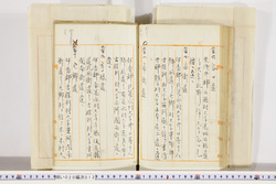 明い020000120045.jpg