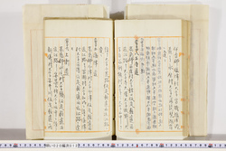 明い020000120049.jpg