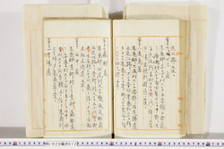 明い020000120050.jpg