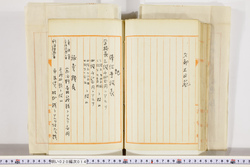 明い020000140005.jpg