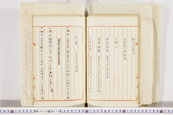明い020000160031.jpg