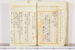 明い020000190002.jpg